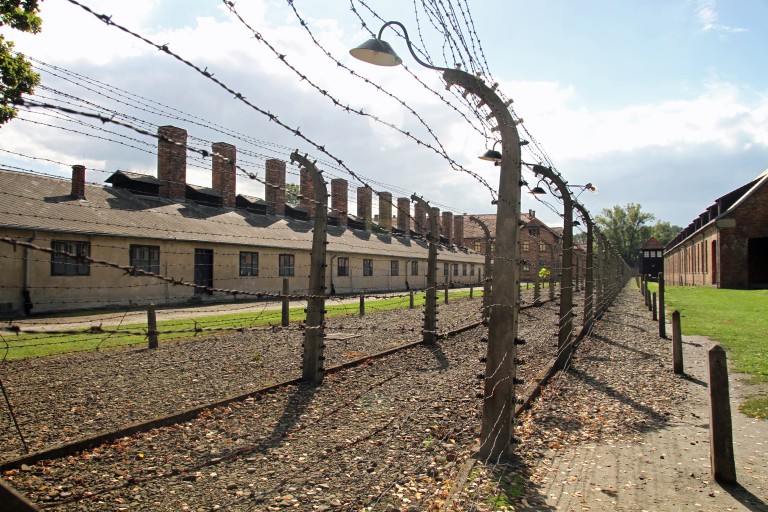 <i class='fa fa-lock' aria-hidden='true'></noscript></i>  Il y a soixante-dix ans Auschwitz était libéré
