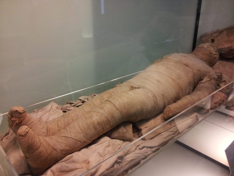 <i class='fa fa-lock' aria-hidden='true'></noscript></i>  Les restes momifiés de la reine Néfertari identifiés par des chercheurs